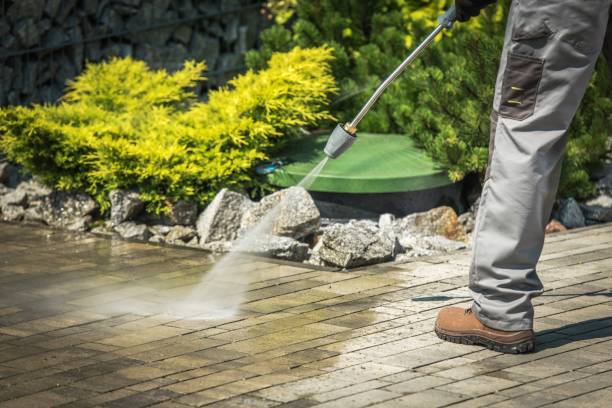 Best Animal Enclosure Cleaning  in Alta Sierra, CA