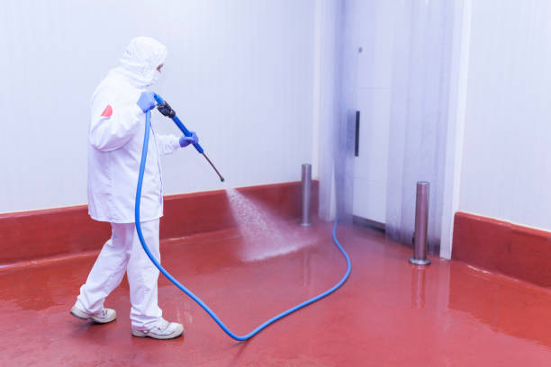 Best Pool Deck Cleaning  in Alta Sierra, CA